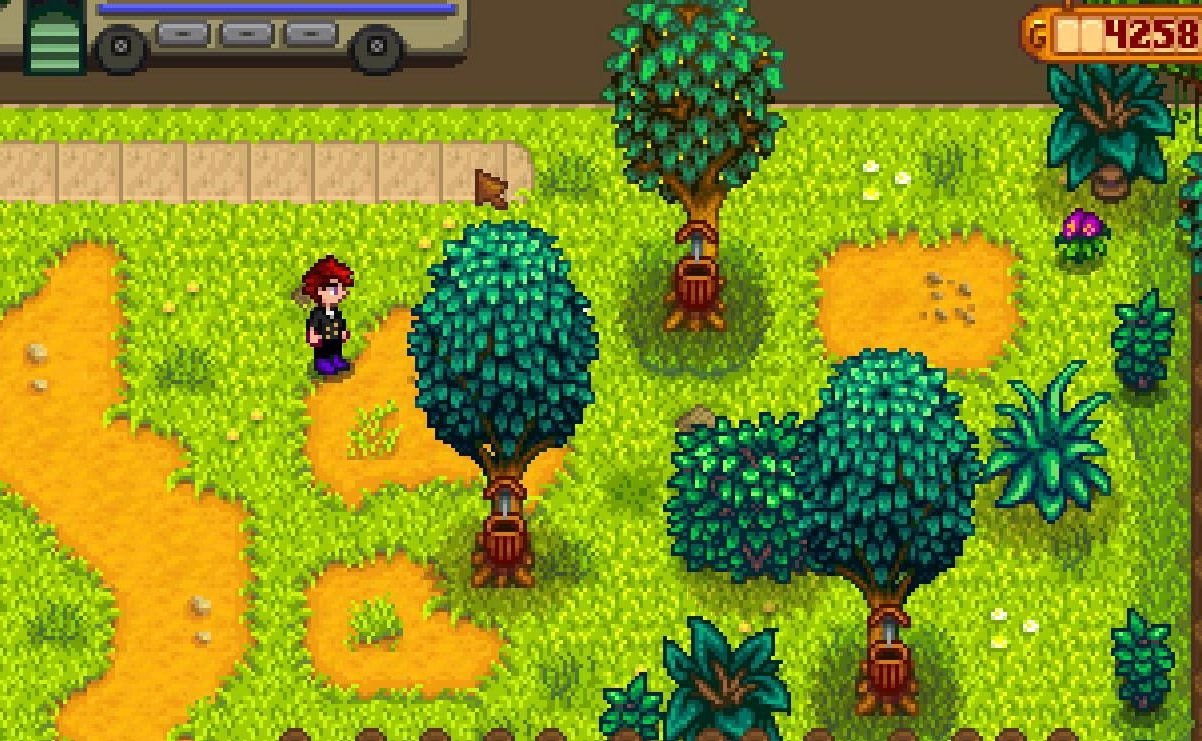 空洞骑士 年度版 截图3