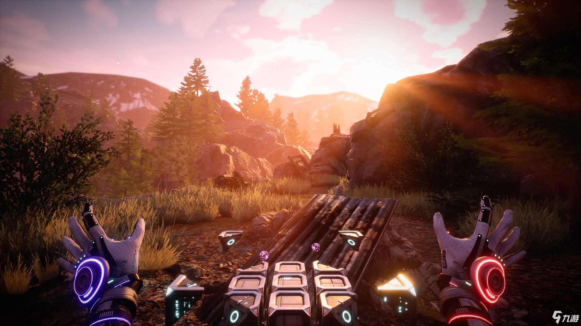 饥荒 豪华版 截图14